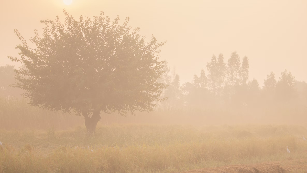 HVAC blog post image